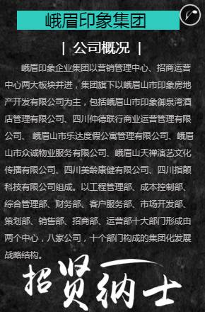 峨眉招聘信息揭秘，小巷中的特色小吃店求职信息速递