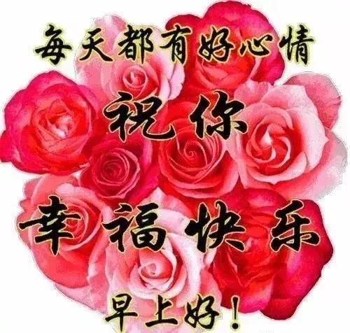 健康管理 第34页