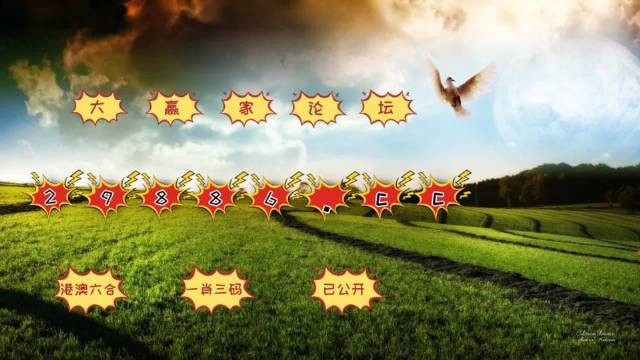 2024澳门六今晚开奖,专业解读评估_游戏版65.607