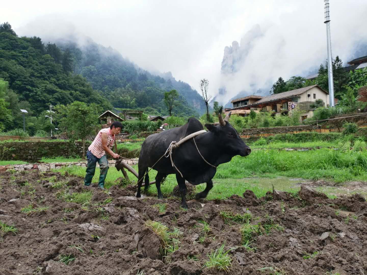 探索自然美景的治愈之旅——犁园最新发现之旅