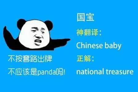 最新英语热点,最新英语热点与温馨的日常故事